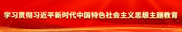 男人掏女人屄学习贯彻习近平新时代中国特色社会主义思想主题教育